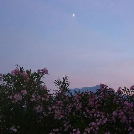 招待所 Al Rustico 托尔博莱